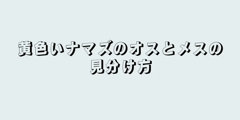 黄色いナマズのオスとメスの見分け方