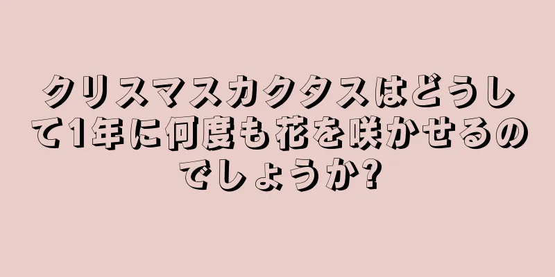 クリスマスカクタスはどうして1年に何度も花を咲かせるのでしょうか?