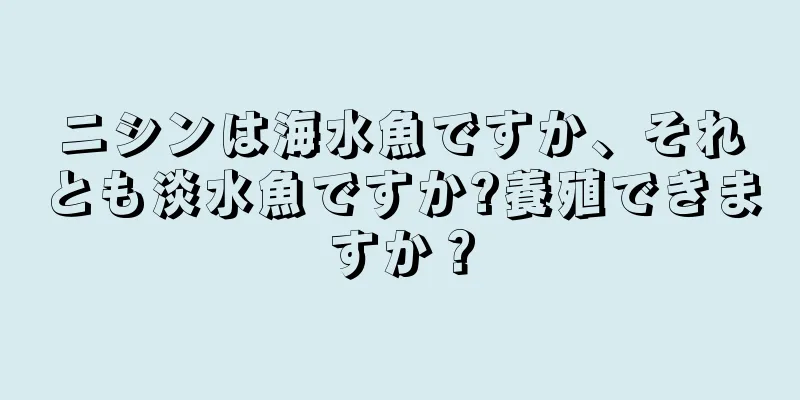 ニシンは海水魚ですか、それとも淡水魚ですか?養殖できますか？