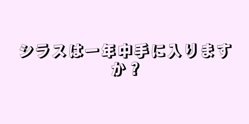 シラスは一年中手に入りますか？