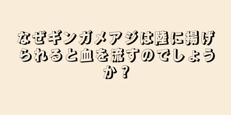 なぜギンガメアジは陸に揚げられると血を流すのでしょうか？
