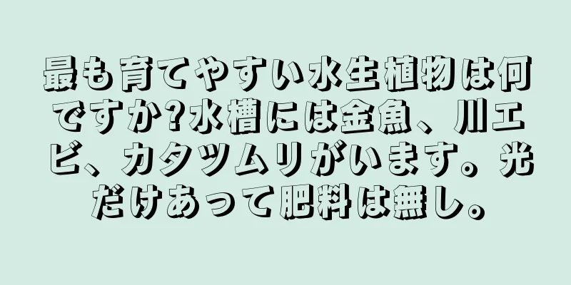 最も育てやすい水生植物は何ですか?水槽には金魚、川エビ、カタツムリがいます。光だけあって肥料は無し。