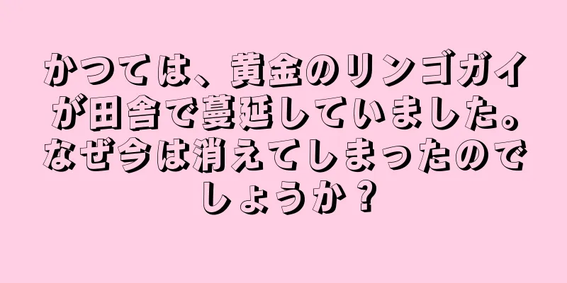 かつては、黄金のリンゴガイが田舎で蔓延していました。なぜ今は消えてしまったのでしょうか？