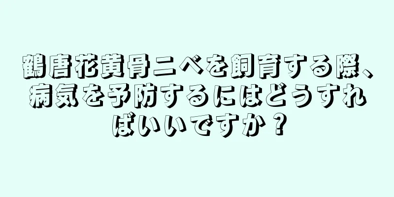鶴唐花黄骨ニベを飼育する際、病気を予防するにはどうすればいいですか？