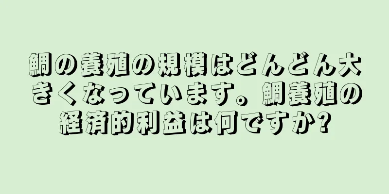 鯛の養殖の規模はどんどん大きくなっています。鯛養殖の経済的利益は何ですか?