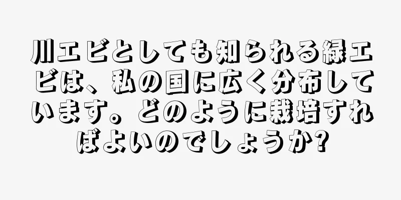 川エビとしても知られる緑エビは、私の国に広く分布しています。どのように栽培すればよいのでしょうか?