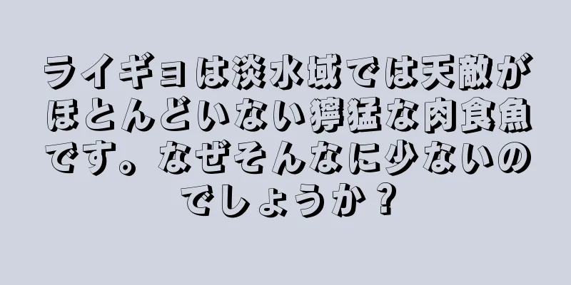 ライギョは淡水域では天敵がほとんどいない獰猛な肉食魚です。なぜそんなに少ないのでしょうか？