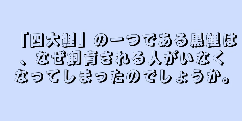 「四大鯉」の一つである黒鯉は、なぜ飼育される人がいなくなってしまったのでしょうか。