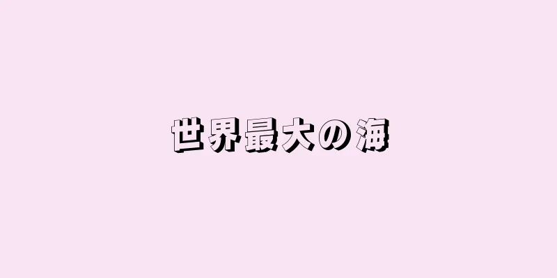 世界最大の海