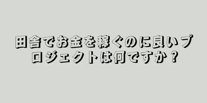 田舎でお金を稼ぐのに良いプロジェクトは何ですか？