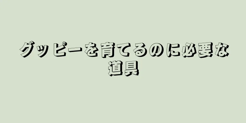 グッピーを育てるのに必要な道具