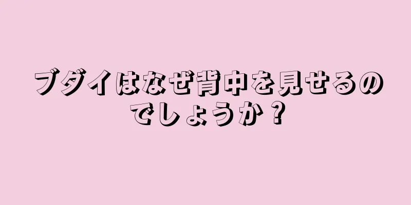ブダイはなぜ背中を見せるのでしょうか？