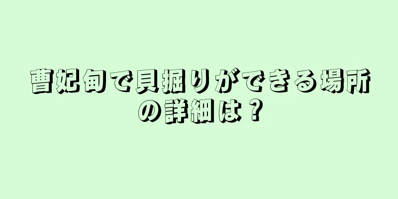曹妃甸で貝掘りができる場所の詳細は？