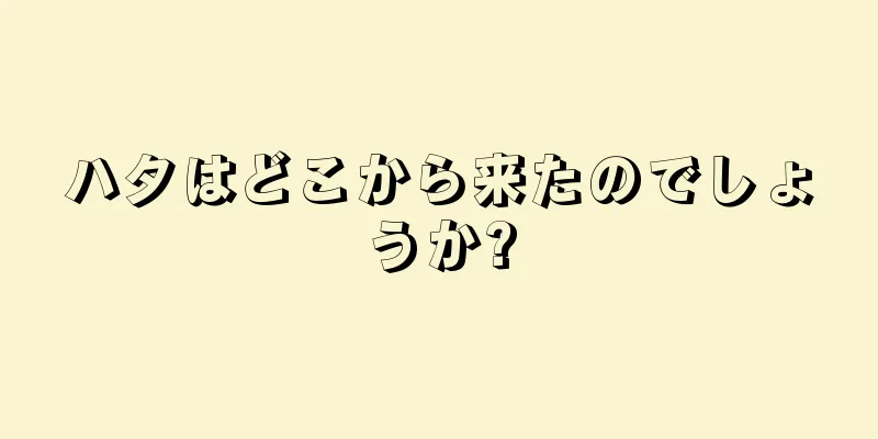 ハタはどこから来たのでしょうか?