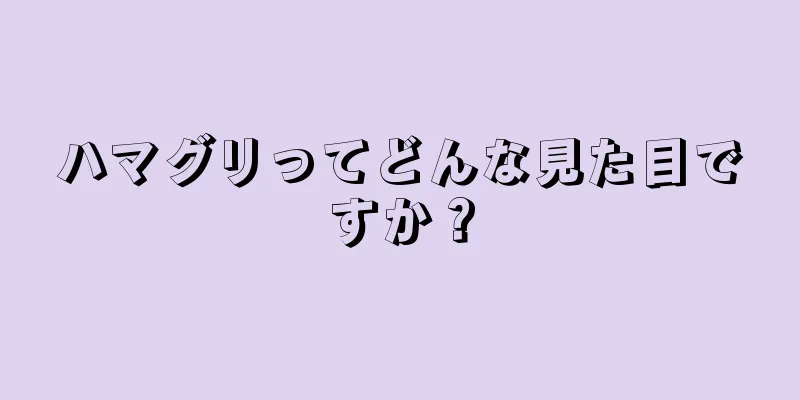 ハマグリってどんな見た目ですか？