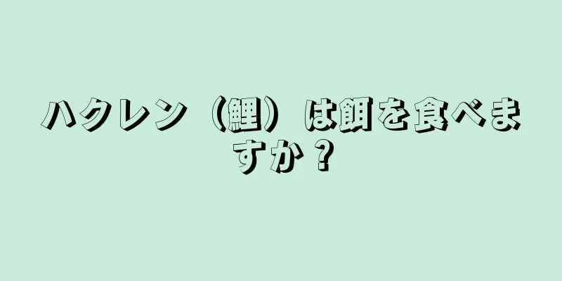 ハクレン（鯉）は餌を食べますか？