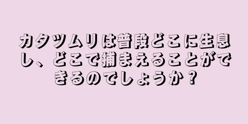 カタツムリは普段どこに生息し、どこで捕まえることができるのでしょうか？