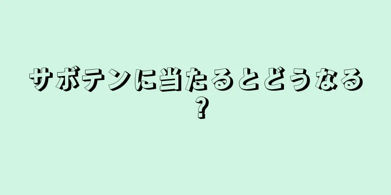 サボテンに当たるとどうなる？
