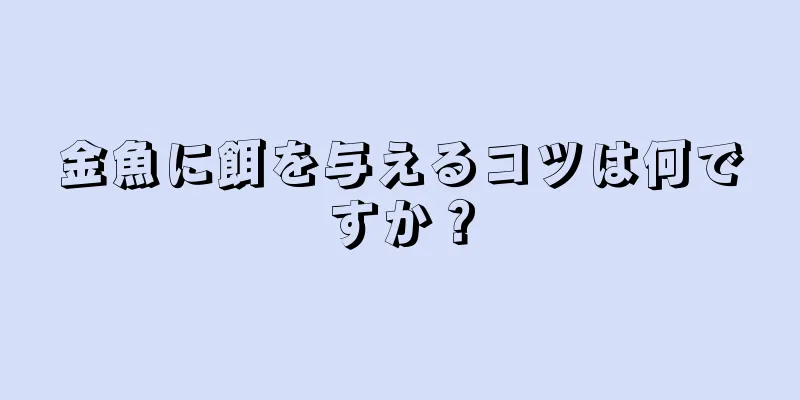 金魚に餌を与えるコツは何ですか？