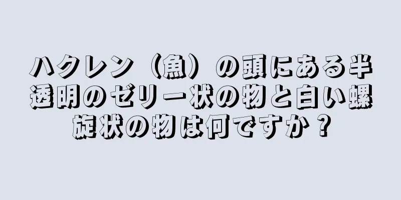 ハクレン（魚）の頭にある半透明のゼリー状の物と白い螺旋状の物は何ですか？
