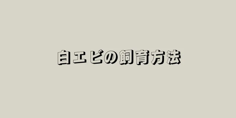白エビの飼育方法