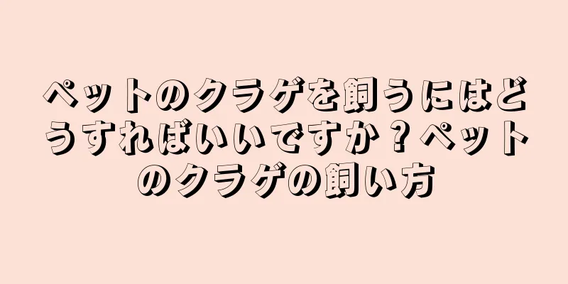 ペットのクラゲを飼うにはどうすればいいですか？ペットのクラゲの飼い方
