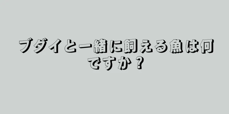 ブダイと一緒に飼える魚は何ですか？