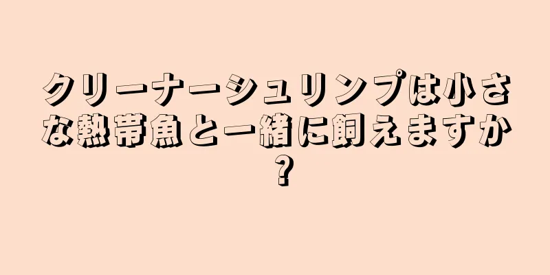 クリーナーシュリンプは小さな熱帯魚と一緒に飼えますか？