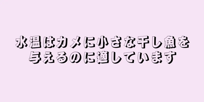 水温はカメに小さな干し魚を与えるのに適しています