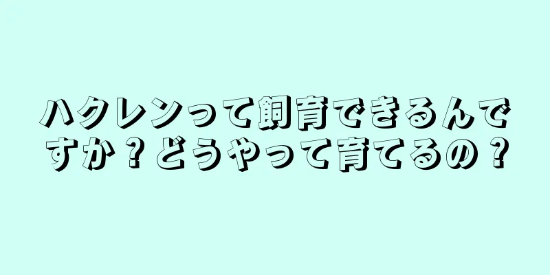 ハクレンって飼育できるんですか？どうやって育てるの？