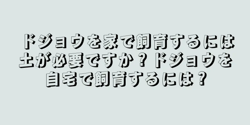 ドジョウを家で飼育するには土が必要ですか？ドジョウを自宅で飼育するには？