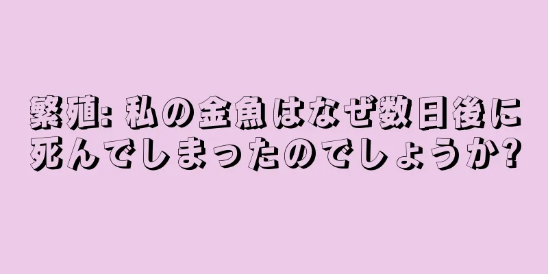 繁殖: 私の金魚はなぜ数日後に死んでしまったのでしょうか?