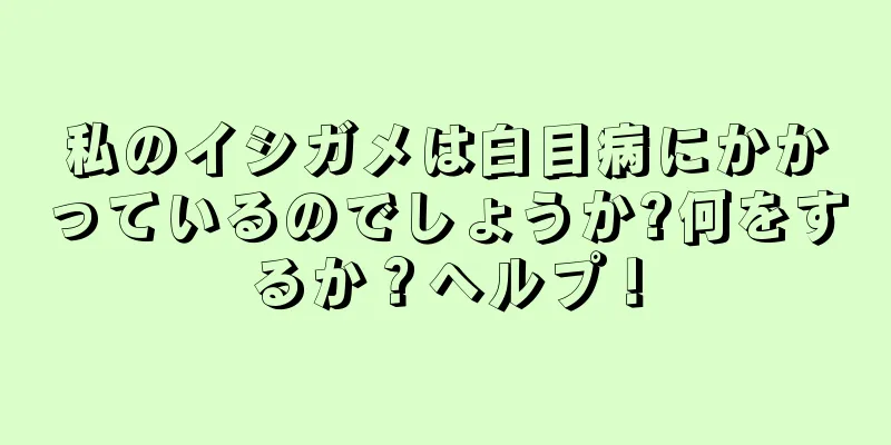 私のイシガメは白目病にかかっているのでしょうか?何をするか？ヘルプ！