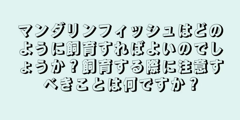 マンダリンフィッシュはどのように飼育すればよいのでしょうか？飼育する際に注意すべきことは何ですか？
