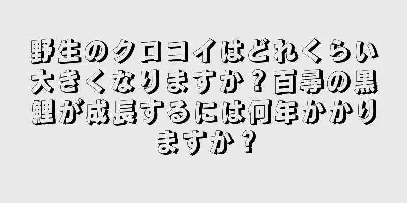野生のクロコイはどれくらい大きくなりますか？百尋の黒鯉が成長するには何年かかりますか？