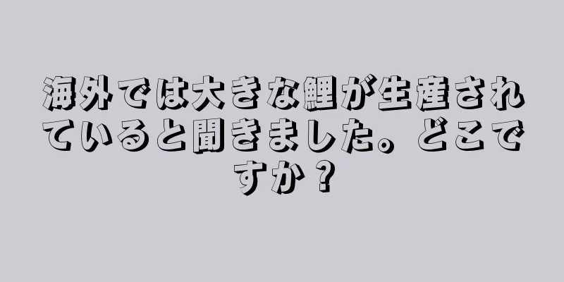 海外では大きな鯉が生産されていると聞きました。どこですか？