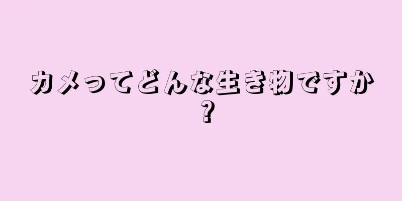 カメってどんな生き物ですか？