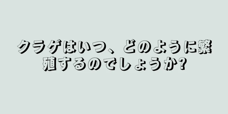 クラゲはいつ、どのように繁殖するのでしょうか?