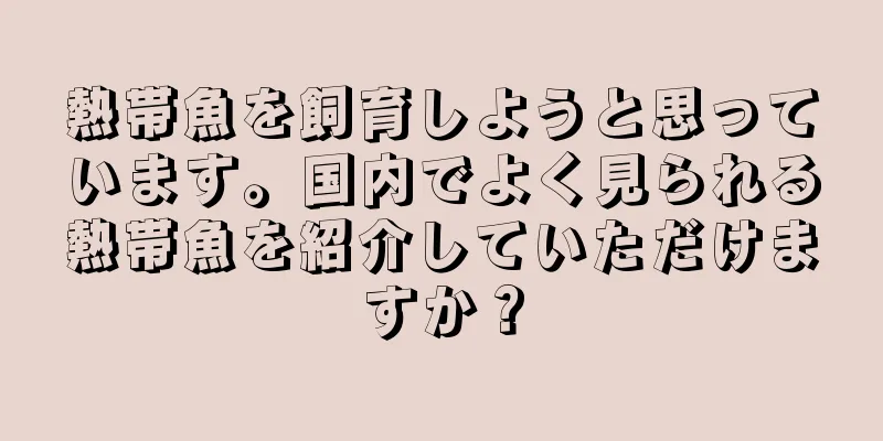 熱帯魚を飼育しようと思っています。国内でよく見られる熱帯魚を紹介していただけますか？