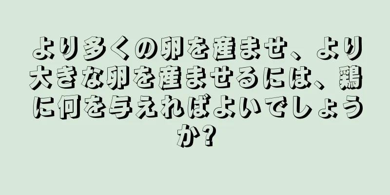 より多くの卵を産ませ、より大きな卵を産ませるには、鶏に何を与えればよいでしょうか?