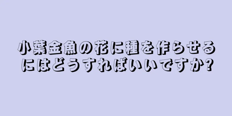 小葉金魚の花に種を作らせるにはどうすればいいですか?