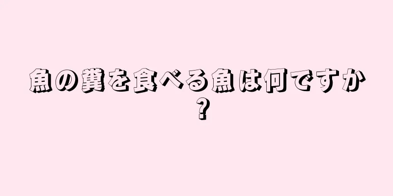 魚の糞を食べる魚は何ですか？