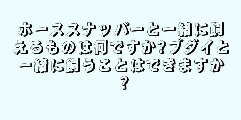 ホーススナッパーと一緒に飼えるものは何ですか?ブダイと一緒に飼うことはできますか？