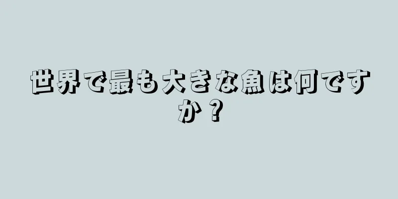 世界で最も大きな魚は何ですか？