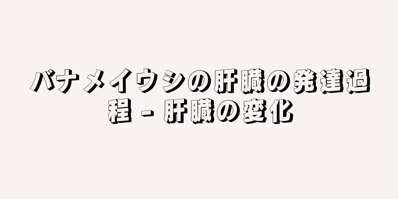バナメイウシの肝臓の発達過程 - 肝臓の変化