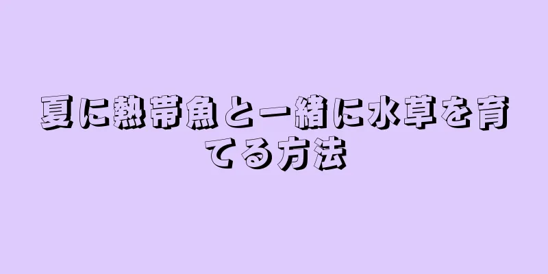 夏に熱帯魚と一緒に水草を育てる方法