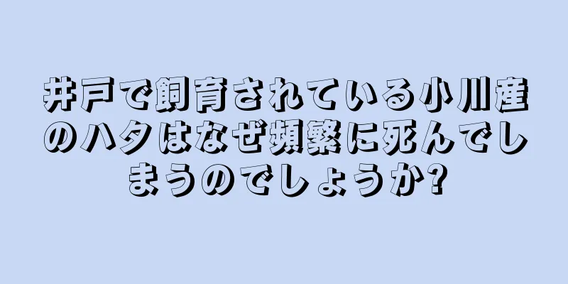 井戸で飼育されている小川産のハタはなぜ頻繁に死んでしまうのでしょうか?