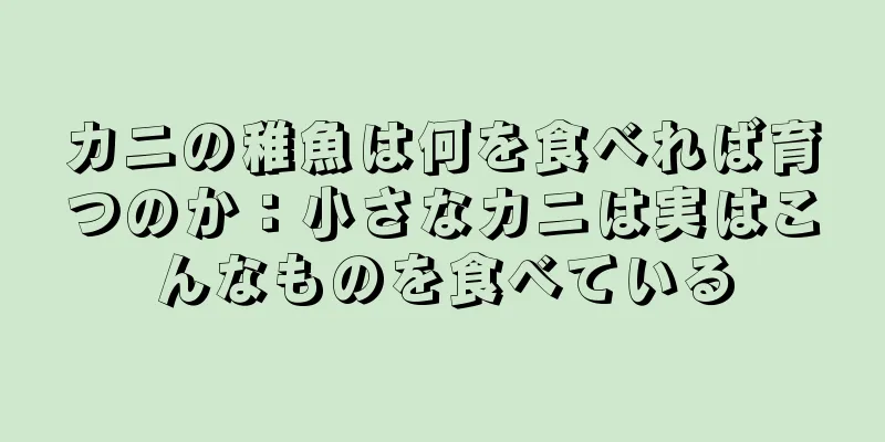カニの稚魚は何を食べれば育つのか：小さなカニは実はこんなものを食べている
