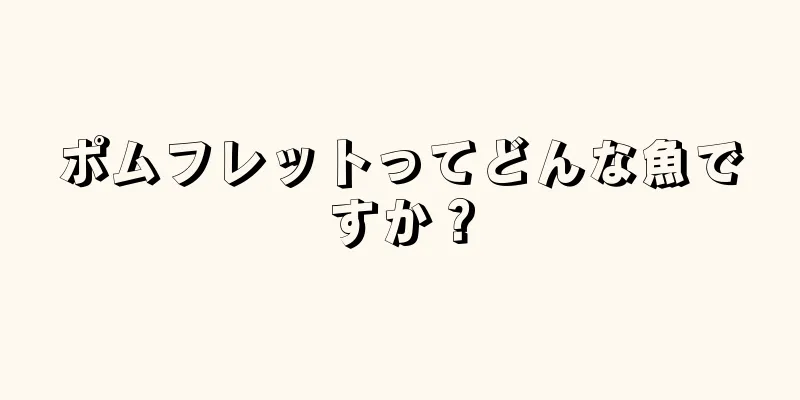 ポムフレットってどんな魚ですか？