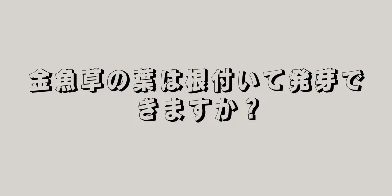 金魚草の葉は根付いて発芽できますか？